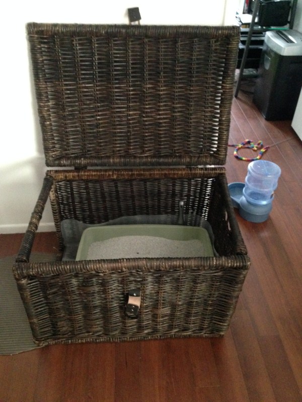 Wicker basket 2024 litter box