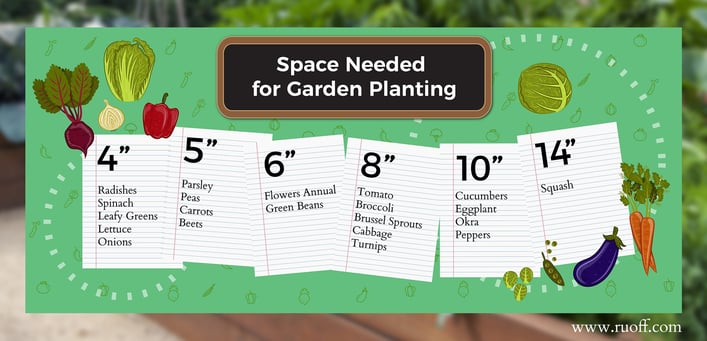 Infographic with the space needed for planting