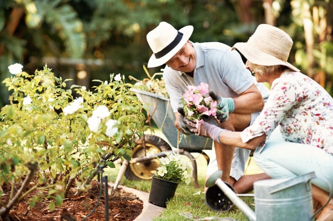 Elderly couple planting flowers outside