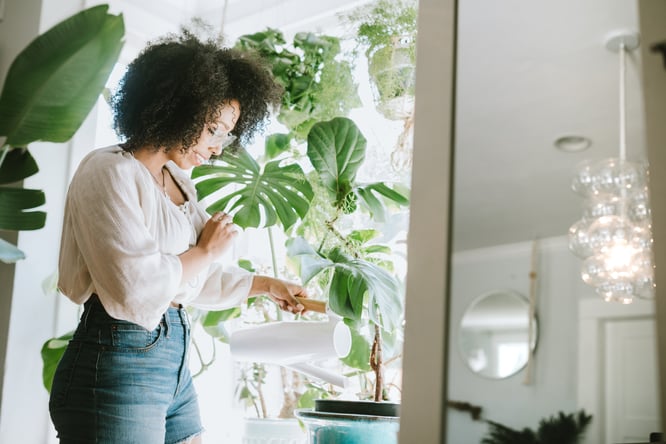 Woman watering plants inside