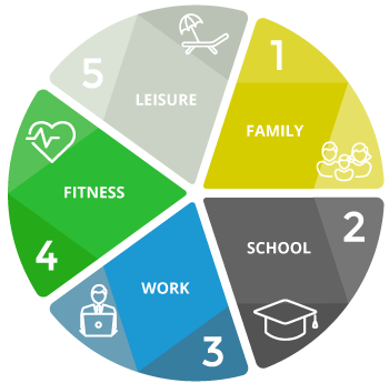 Life-Balance_Pie-Chart_350px