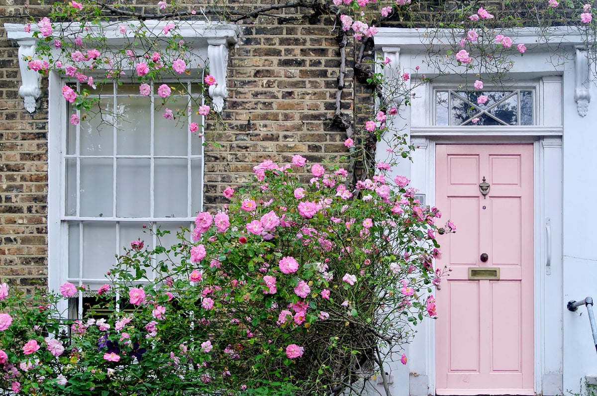 Shut the Front Door! What Your Color Choice Says About You