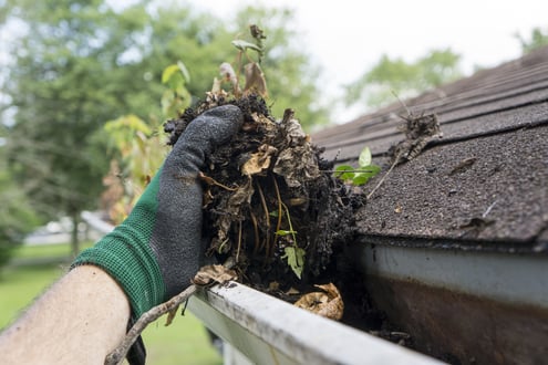 clean out leaves from the gutter with gloves