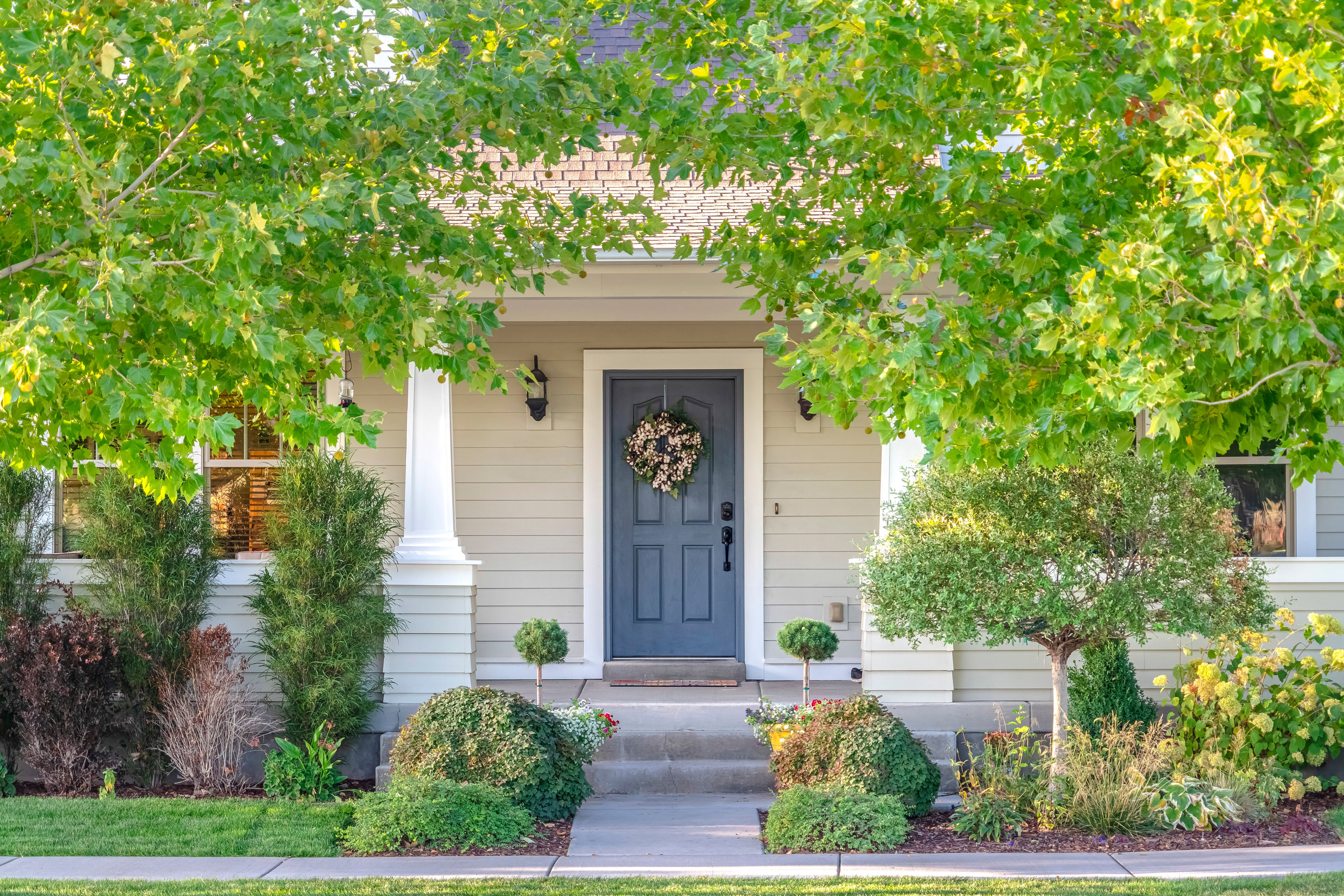 Front door of a home surrounded by leafy trees