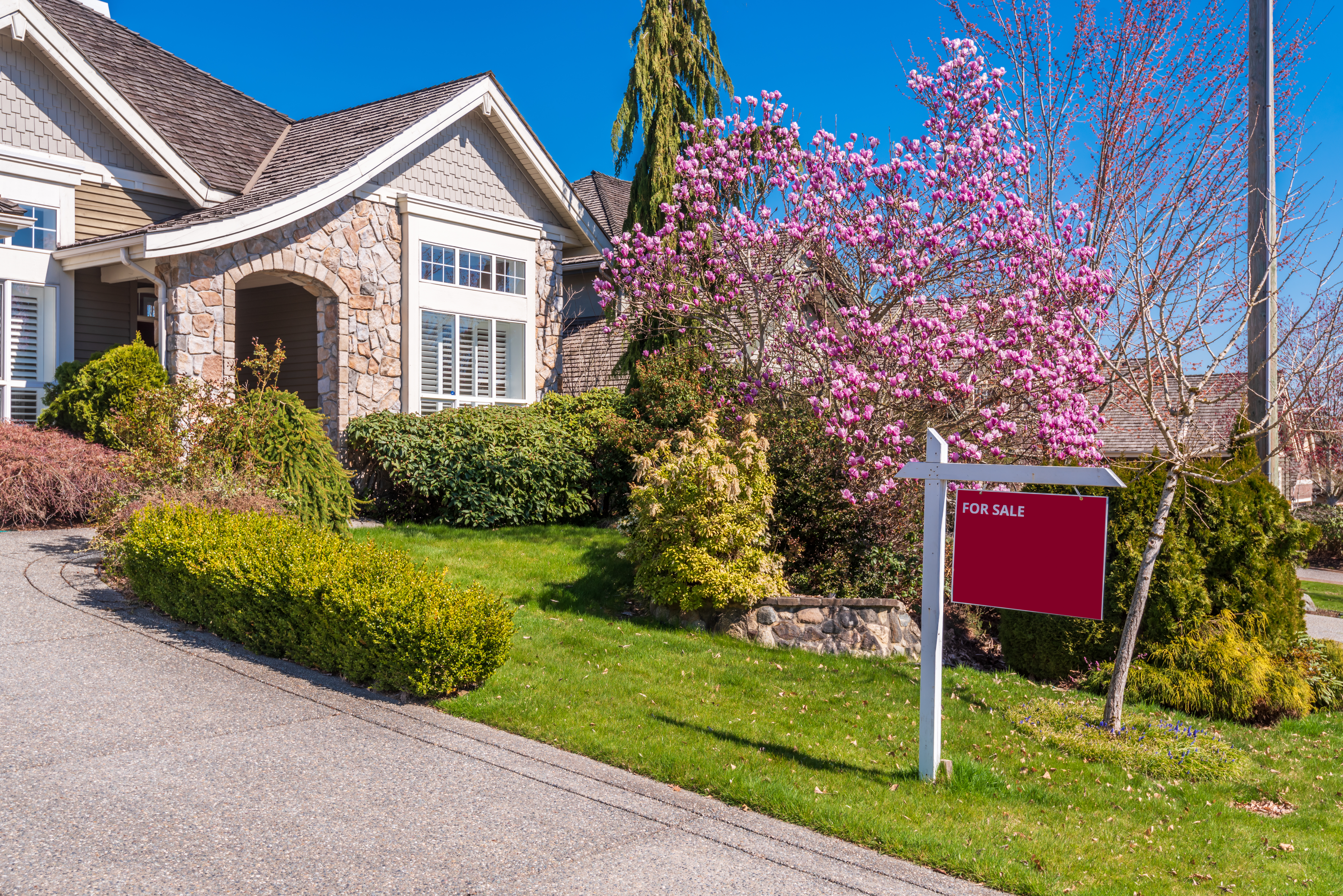 A beautiful suburban house with stone and wood exterior, surrounded by lush green landscaping and blooming pink trees. A "For Sale" sign is displayed on the front lawn near the driveway under a clear blue sky.