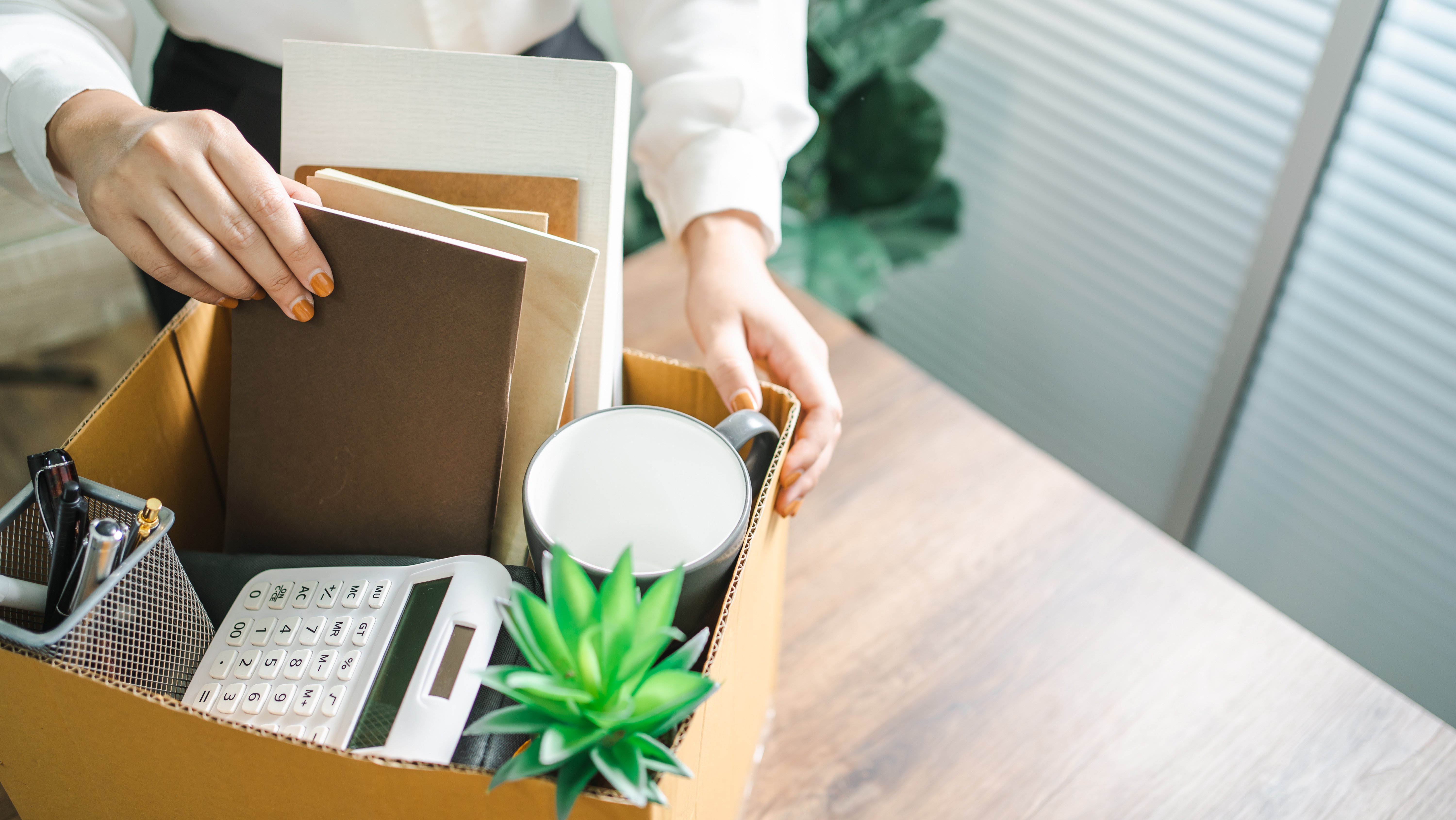 Person packing office supplies into a cardboard box, including books, a mug, calculator, pen holder, and small potted plant, suggesting moving or leaving a workplace.