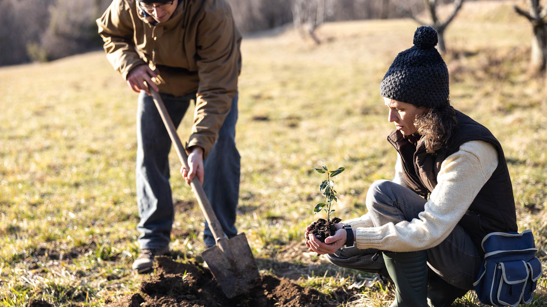 how-to-celebrate-arbor-day-this-year