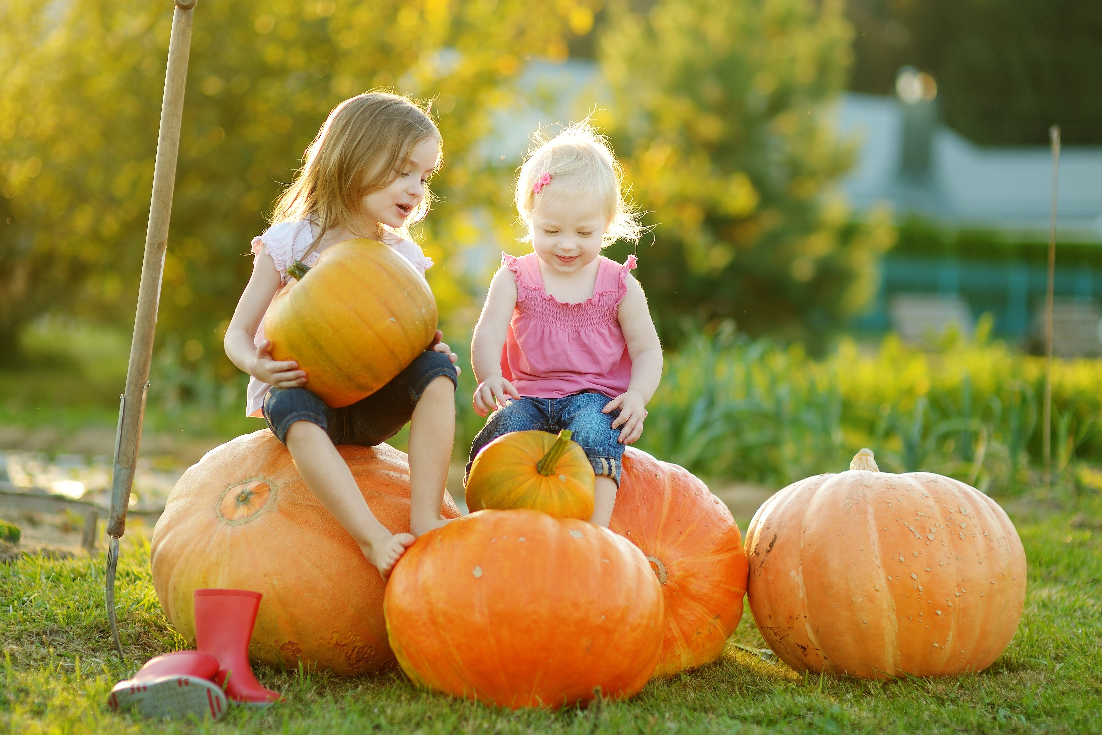 Two young children sit on large pumpkins in a sunny outdoor setting. One child, holding a smaller pumpkin in her lap, looks at the other, who is smiling and touching a pumpkin in front of her. Both wear casual clothes, and a pair of red rain boots is placed on the grass nearby. The background shows greenery and soft golden light, giving a warm autumn feel.